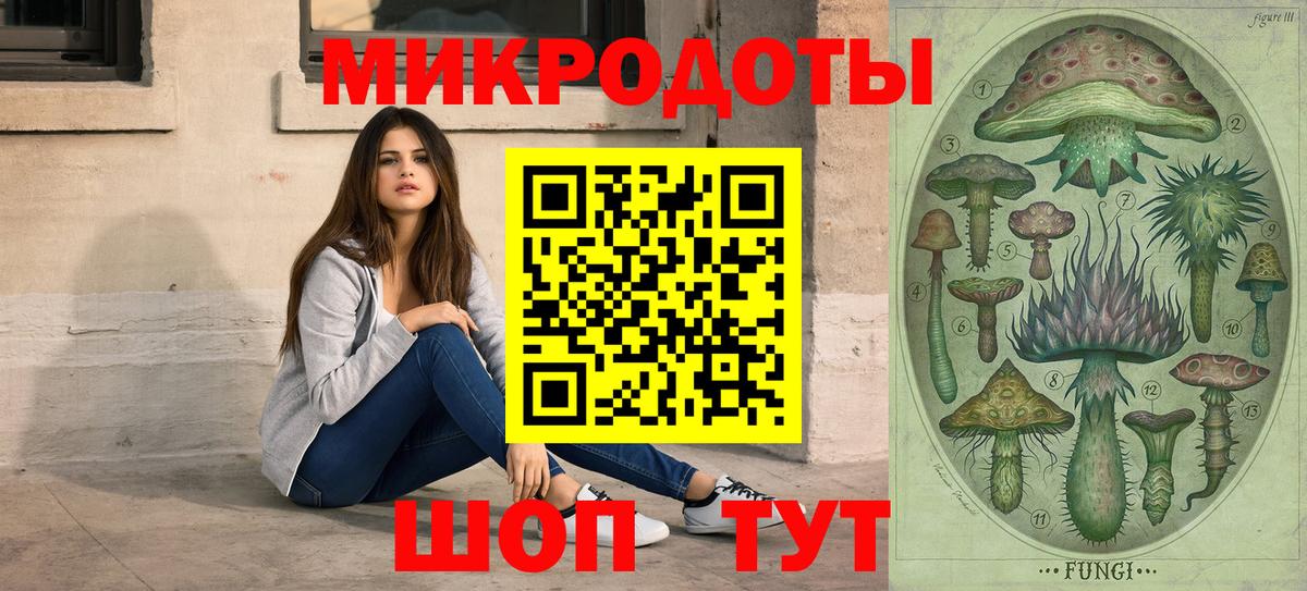 Псилоцибиновые грибы Psilocybine cubensis  хочу наркоту  Вход с VPN  Ессентуки  Галлюциногенные грибы Psilocybe 