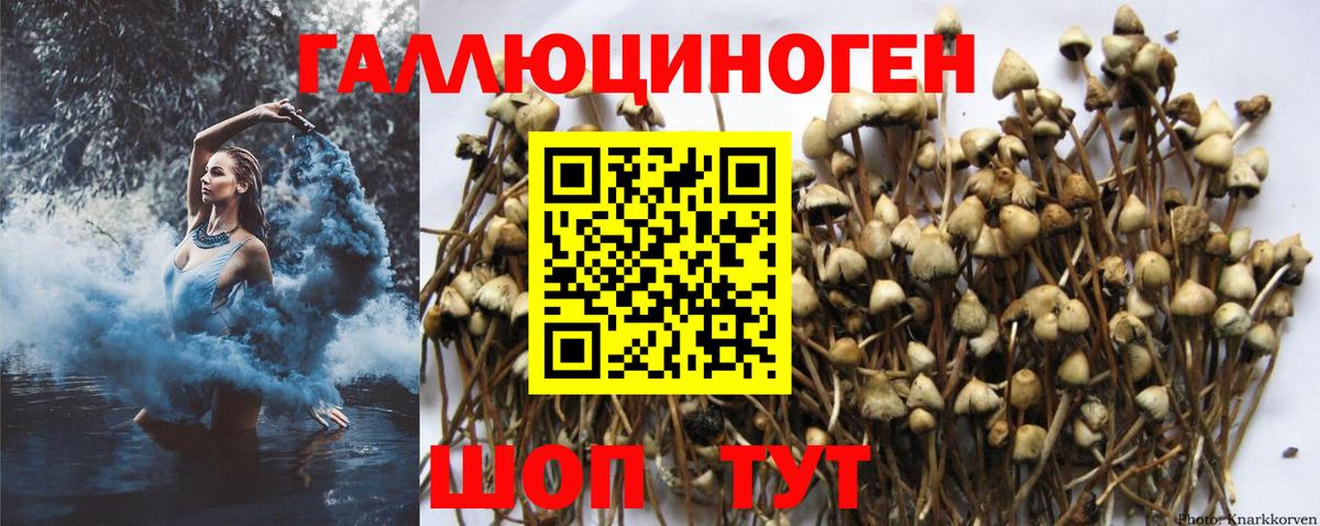 Псилоцибиновые грибы ЛСД Ессентуки